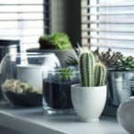 container gardening