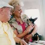 senior couple sitting on an airplane and holding a small black dog on their lap