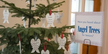 angel trees for seniors