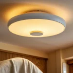 Nobi Smart Lamp: Safety and Peace of Mind for Seniors ceiling lamp 1