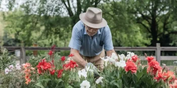 easy gardening tips