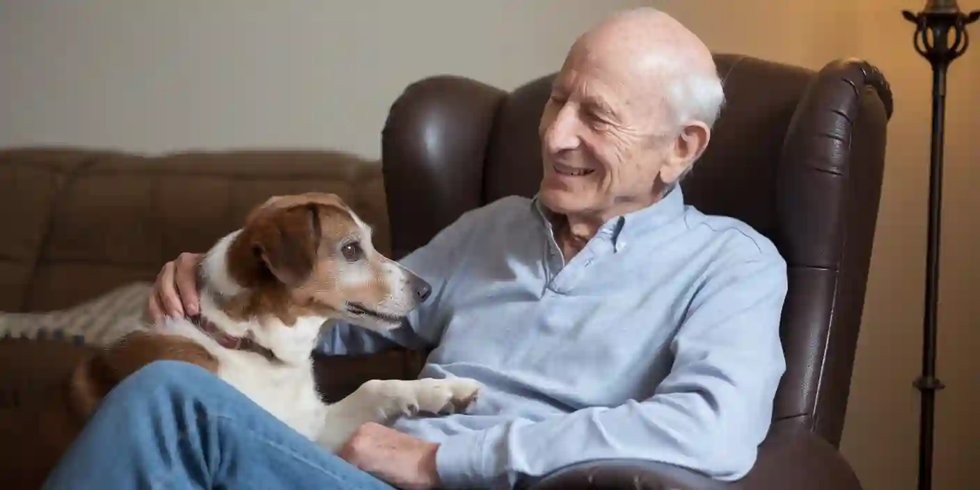 pet therapy