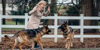 Woman out on a walk doing her best to protect herself from stray dogs.