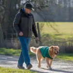 safety tips for dog walking