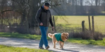 safety tips for dog walking