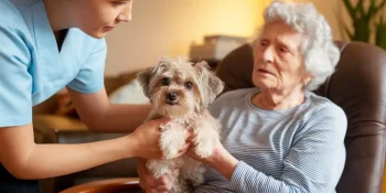 taking pet away from someone with dementia